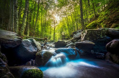 Beekwaterval in een bos. Apennijnen, Toscane