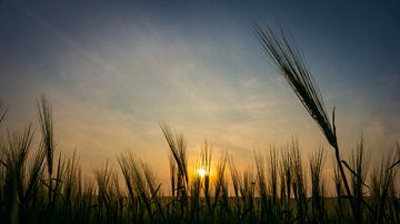 Sunset over the North Eifel Panorama. by Peter Vossen