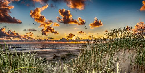 Beautiful summer sunset from 2019 -5