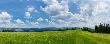 Germany, XXL Endless black forest hiking nature landscape by adventure-photos