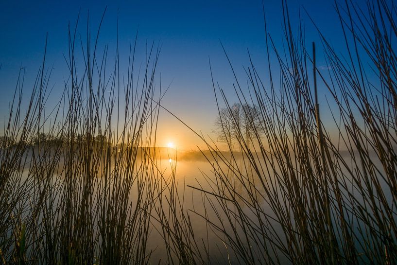 Look through by Koen Boelrijk Photography