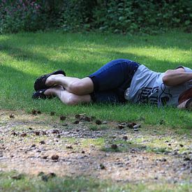 Michel Knap photo de profil