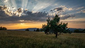 Wolken Sonne Spiel