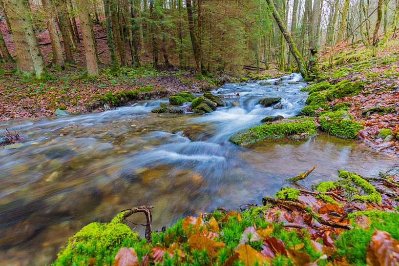 Bach in der Eifel von Gottfried Carls