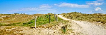 duinen langs de kust in panorama van eric van der eijk
