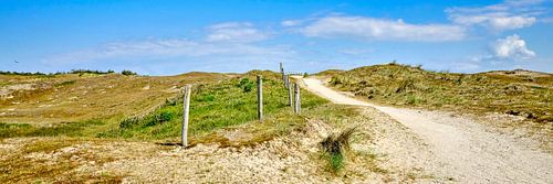 Küstendünen im Panorama