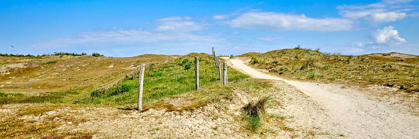 coastal dunes in panorama by eric van der eijk
