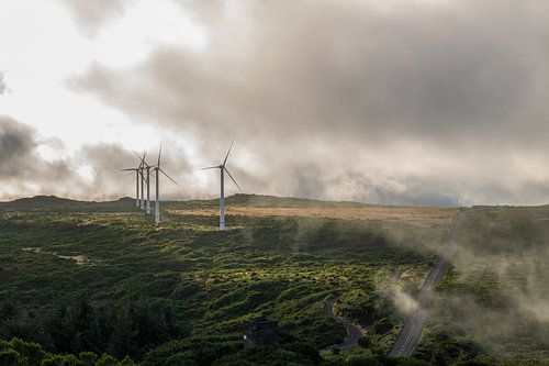 Viewpoint on Madeira