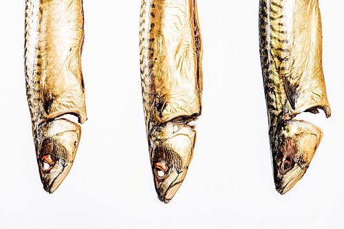 Drie makrelen op een witte ondergrond