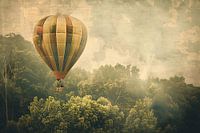 Hot air balloon hovers over forest landscape