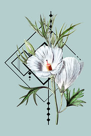 Weißer Hibiskus von Fineline
