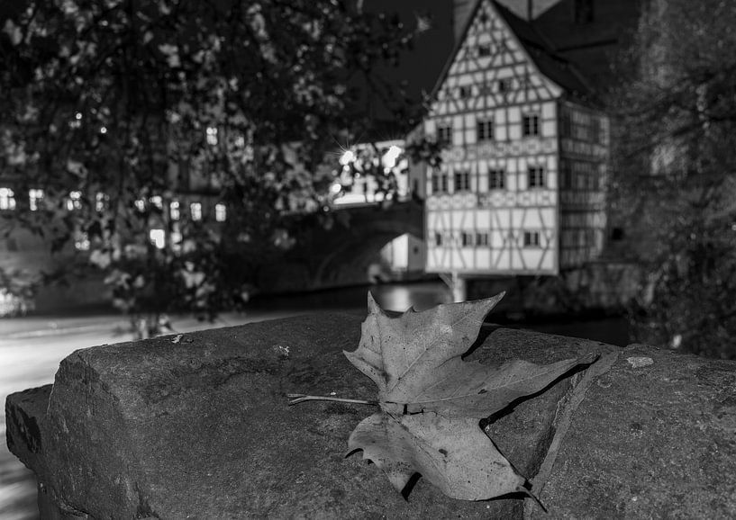 Photo en noir et blanc de Bamberg en automne avec un feuillage et l'ancien hôtel de ville par Animaflora PicsStock