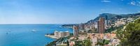 Monaco & Côte d'Azur | Panorama  van Melanie Viola thumbnail