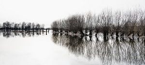 Weiden bei Ebbe und Flut