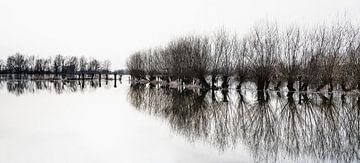 Wilgen bij hoogwater van Ralf Köhnke