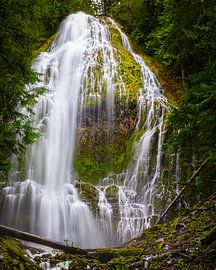Wasserfall Proxy Falls, Oregon von Henk Meijer Photography