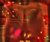 Lovetassie Billen 3D