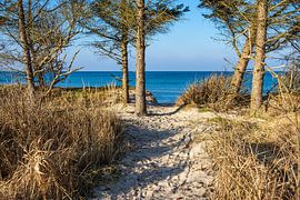 Strand an der Küste der Ostsee bei Graal Müritz von Rico Ködder
