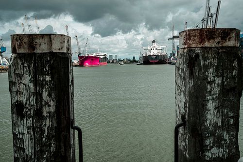 Pink light point