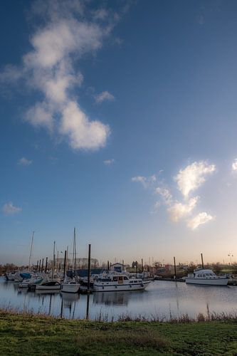 Boten in de haven