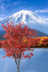 Malerischer Shoji-See mit beeindruckendem Fuji im Herbst