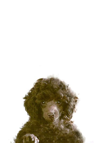 De hond van Pictufy Studio II