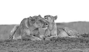 Mother love!