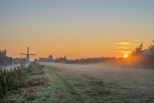 Zonsopkomst tussen de bomen bij de Oukoopse Molen