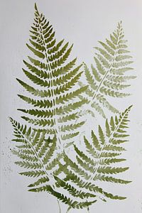 Farne in Salbeigrün - Minimalistischer botanischer Druck