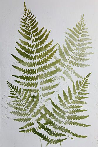 Farne in Salbeigrün - Minimalistischer botanischer Druck