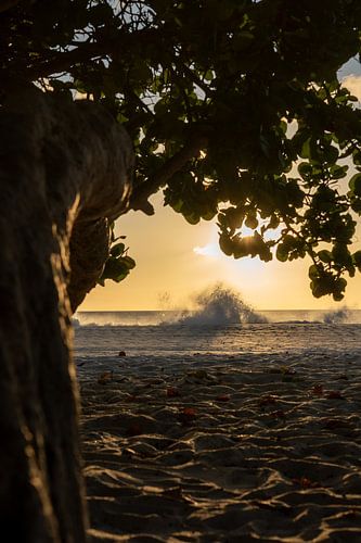 high waves at sunset