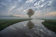 Spiegelbeeld van Chris Biesheuvel I  Dream Scapes thumbnail