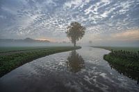 Spiegelbeeld