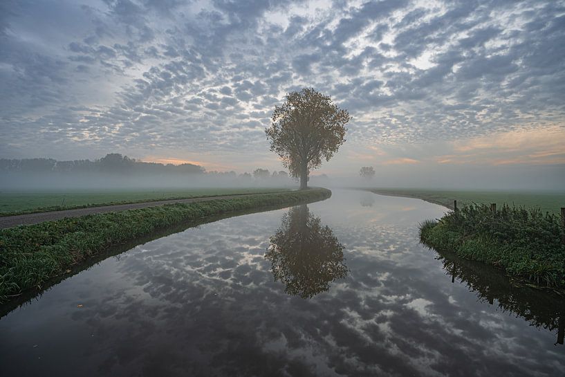 Spiegelbeeld van Chris Biesheuvel I  Dream Scapes