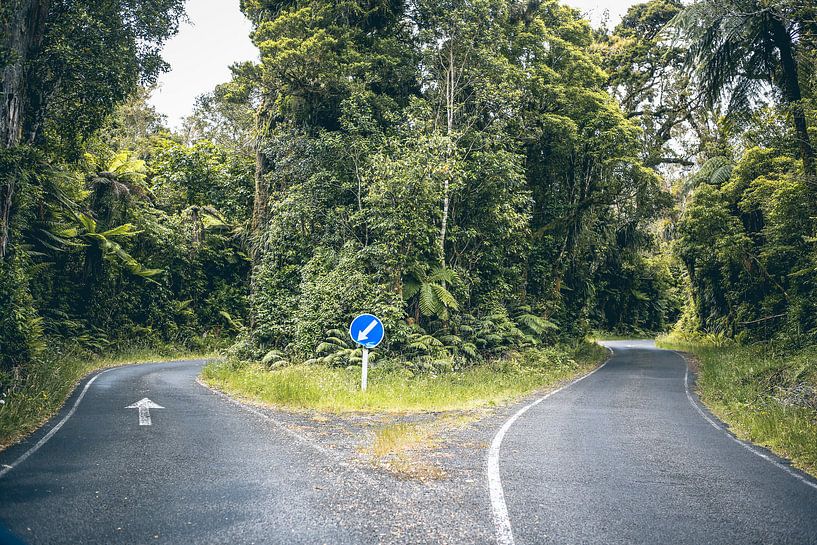 Cross roads by Leon Weggelaar