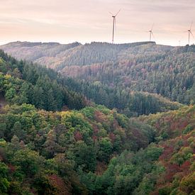 Windmills in Germany by Maureen Materman