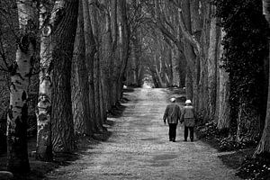 Altes Ehepaar läuft einen langen Waldweg gemeinsam