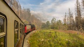 Brockenbahn von Sergej Nickel
