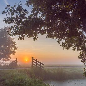 Brume matinale dans le polder sur Rossum-Fotografie