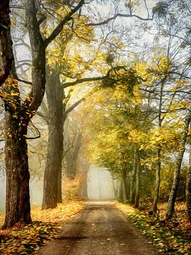 The road to you by Lars van de Goor