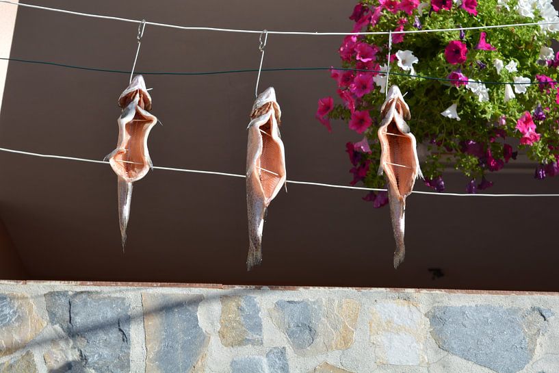fish hanging out to dry in the sun by Bella Luna Fotografie