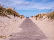Strandweg an der Ostsee in Warnemünde von Animaflora PicsStock Miniaturansicht