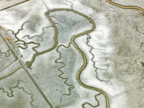 Sumpf in der Bucht von San Francisco