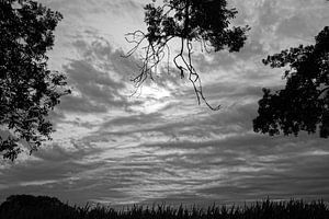 Beau ciel sur Jan Nuboer