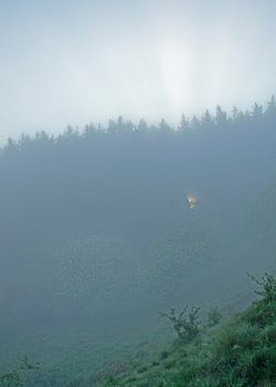 Sunrise Skarrehage (hoch)
