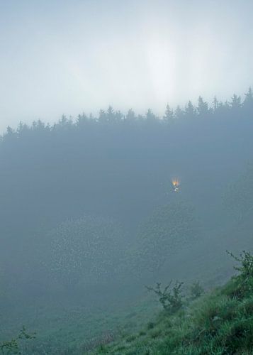 Sunrise Skarrehage (hoog)