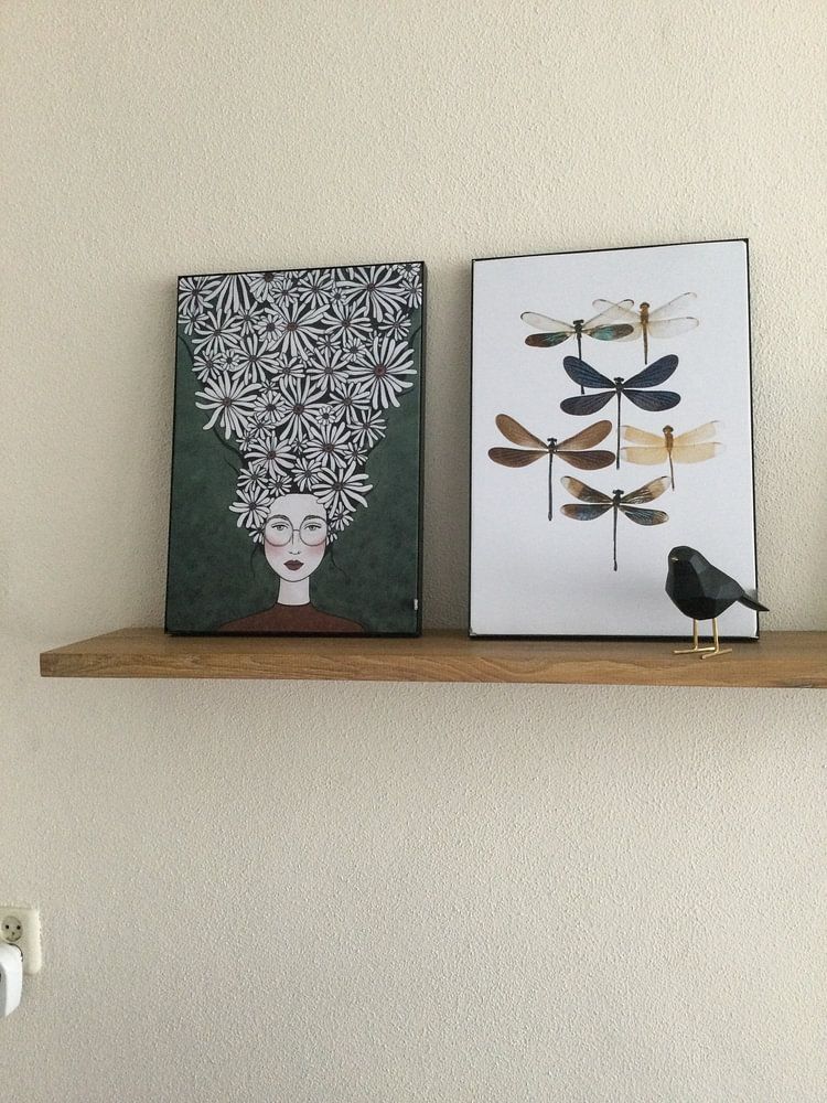 Cabinet de variétés_Insectes_10 par Marielle Leenders