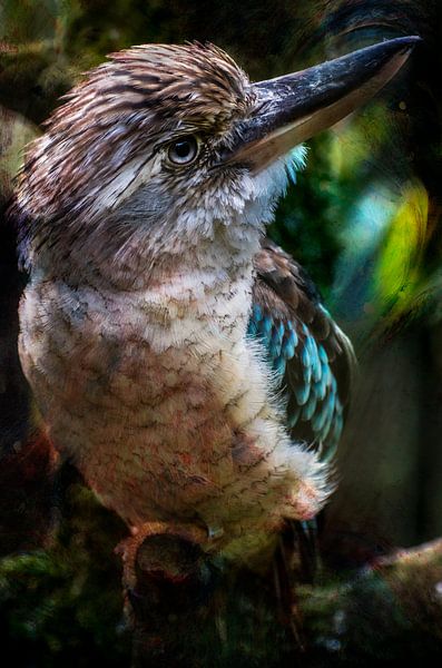 Australian bird by Xenia Blair