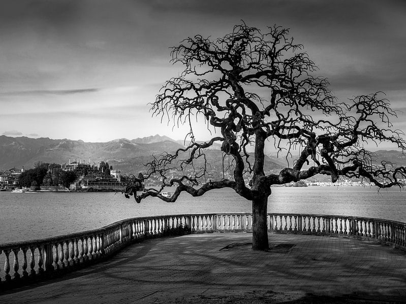 Lago Maggiore in Schwarz Weiß von Alexander Dorn