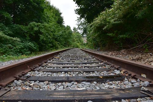 Eine Eisenbahnstrecke im Sommer